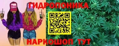 скорость Обь
