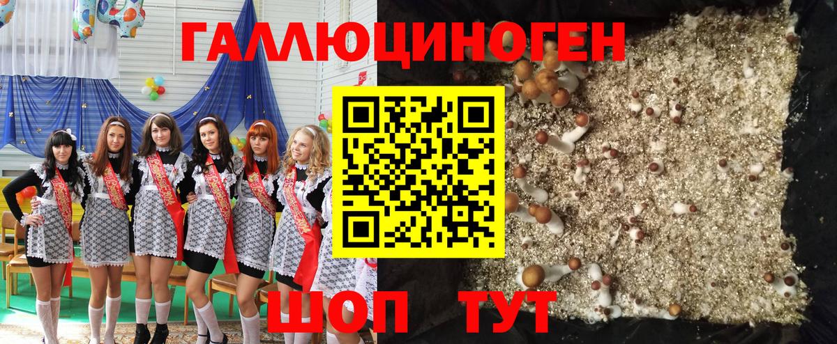 Галлюциногенные грибы Psilocybe  Вход с VPN  Псилоцибиновые грибы Psilocybine cubensis  Саров 